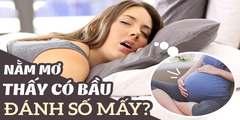 Giải mã thành công mơ có bầu đánh số gì sẽ giúp bạn nhanh chóng đổi đời