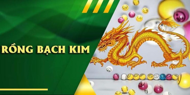 Soi cầu rồng bạch kim xổ số miền bắc phổ biến trên thị trường